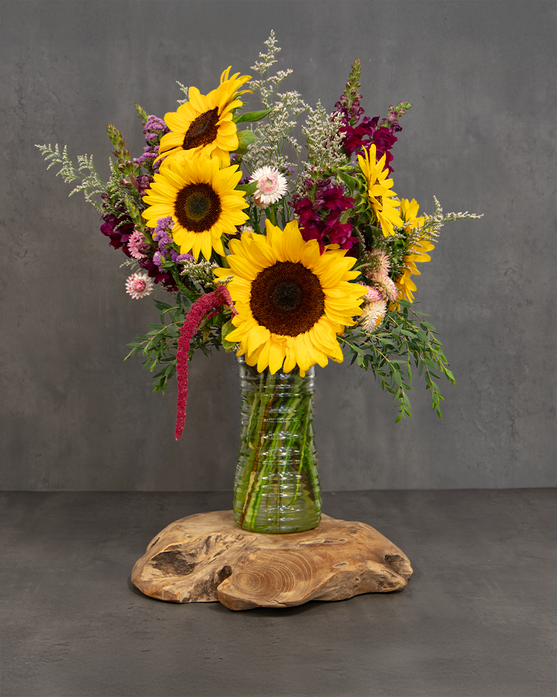 Sunflower Harvest