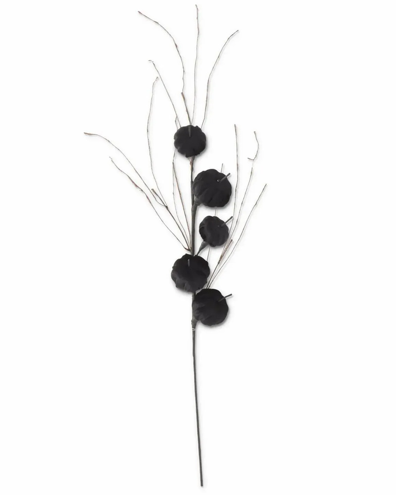 Black Velvet Pumkin Stem 38"