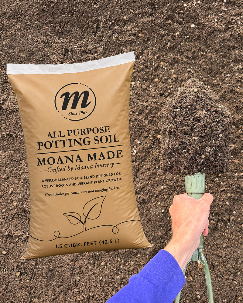 Moana Made Potting Soil 1.5cf