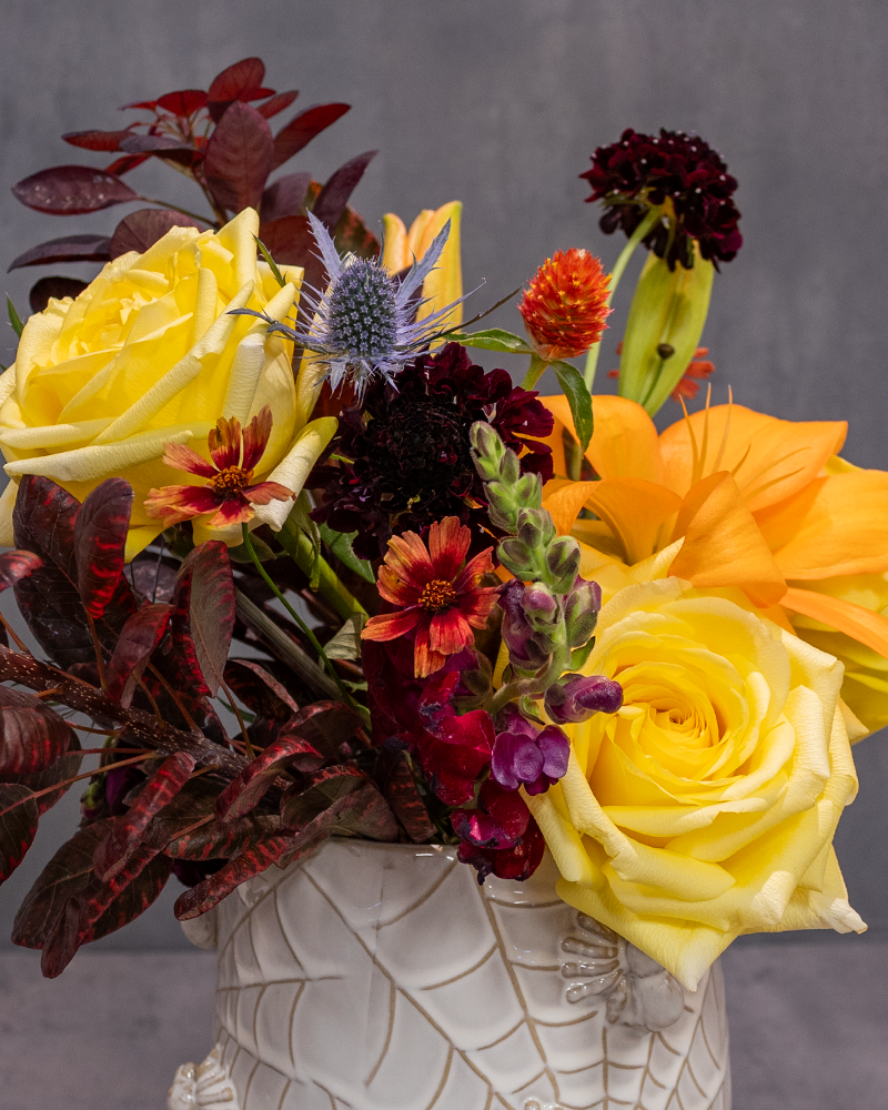 Spellbound: Spiders & Stems
