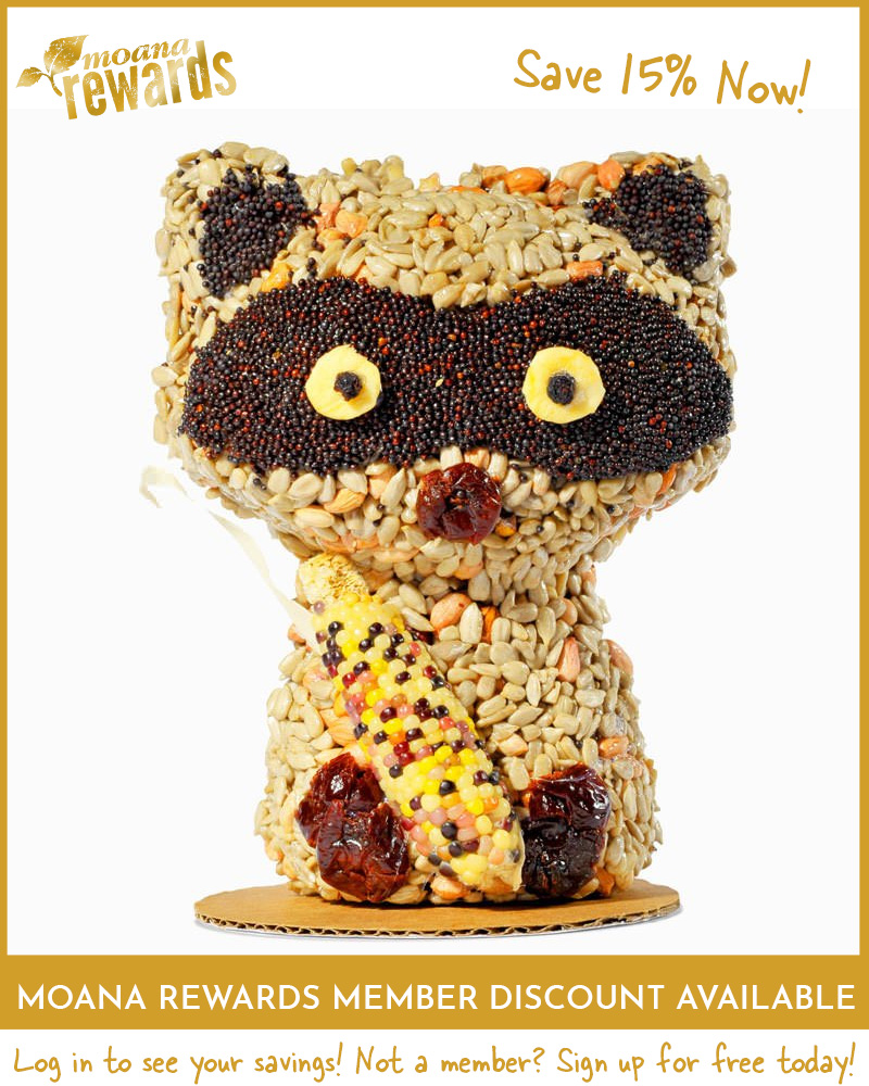 Rascal Raccoon Seed Character