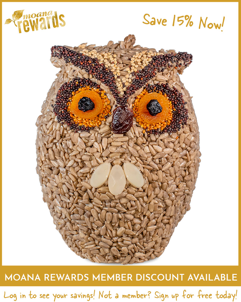 Whoo-Lio Owl Seed Character