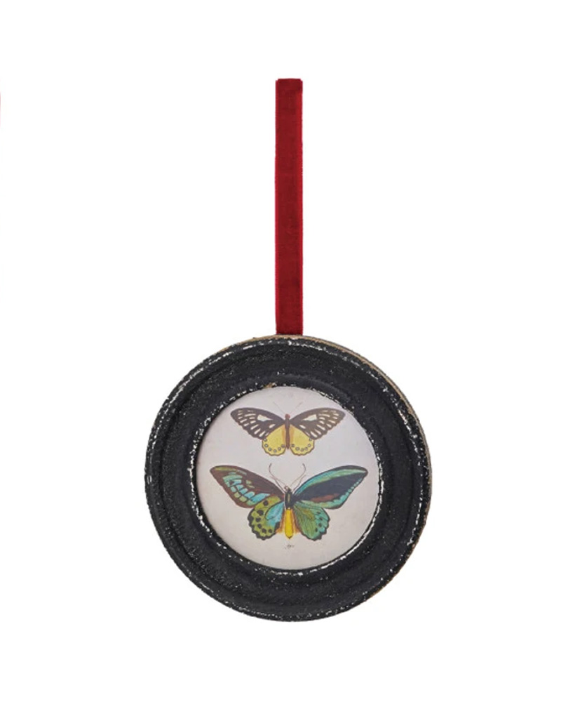 Framed Butterfly Ornament 4"