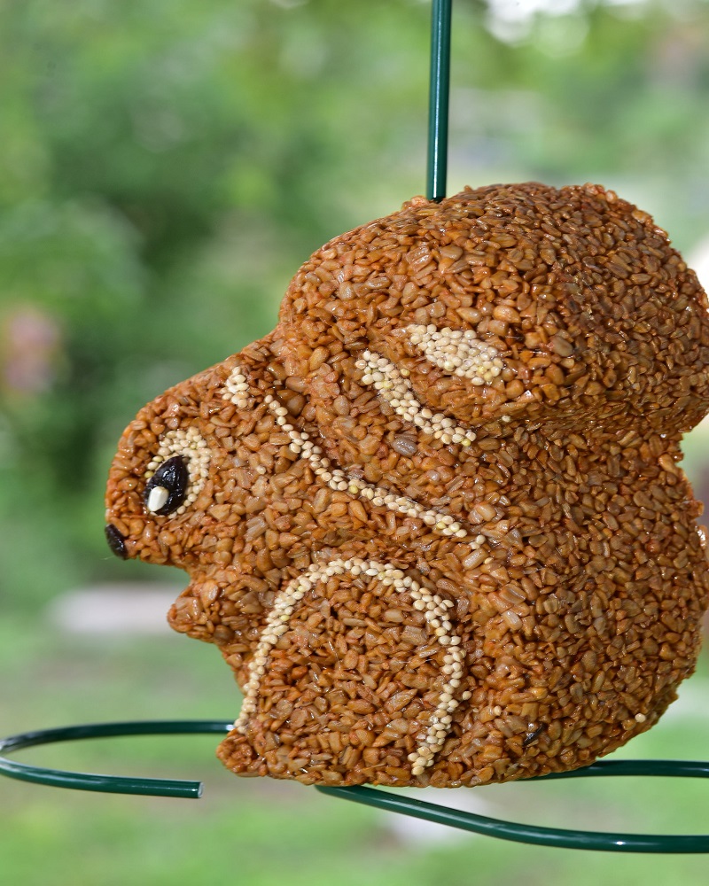 Blaze Hot Pepper Seed Squirrel