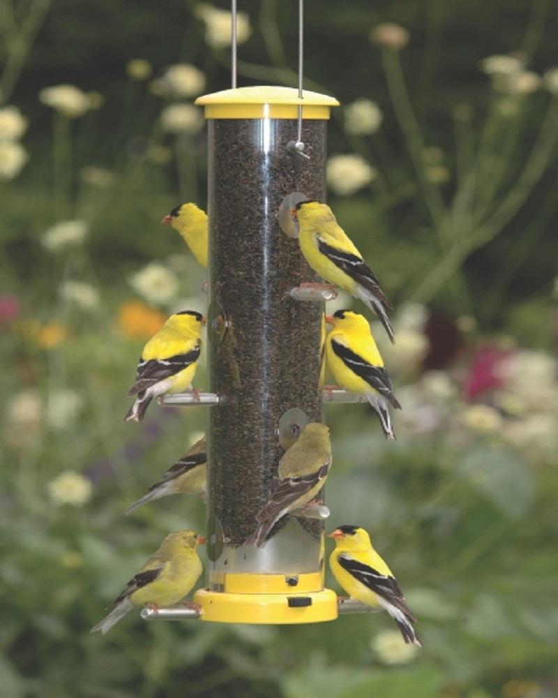 Finch Tube Feeder With Quick-Clean Medium