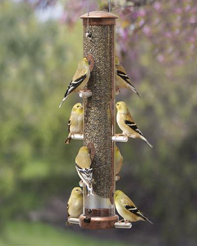 Finch Tube Feeder With Quick-Clean Medium