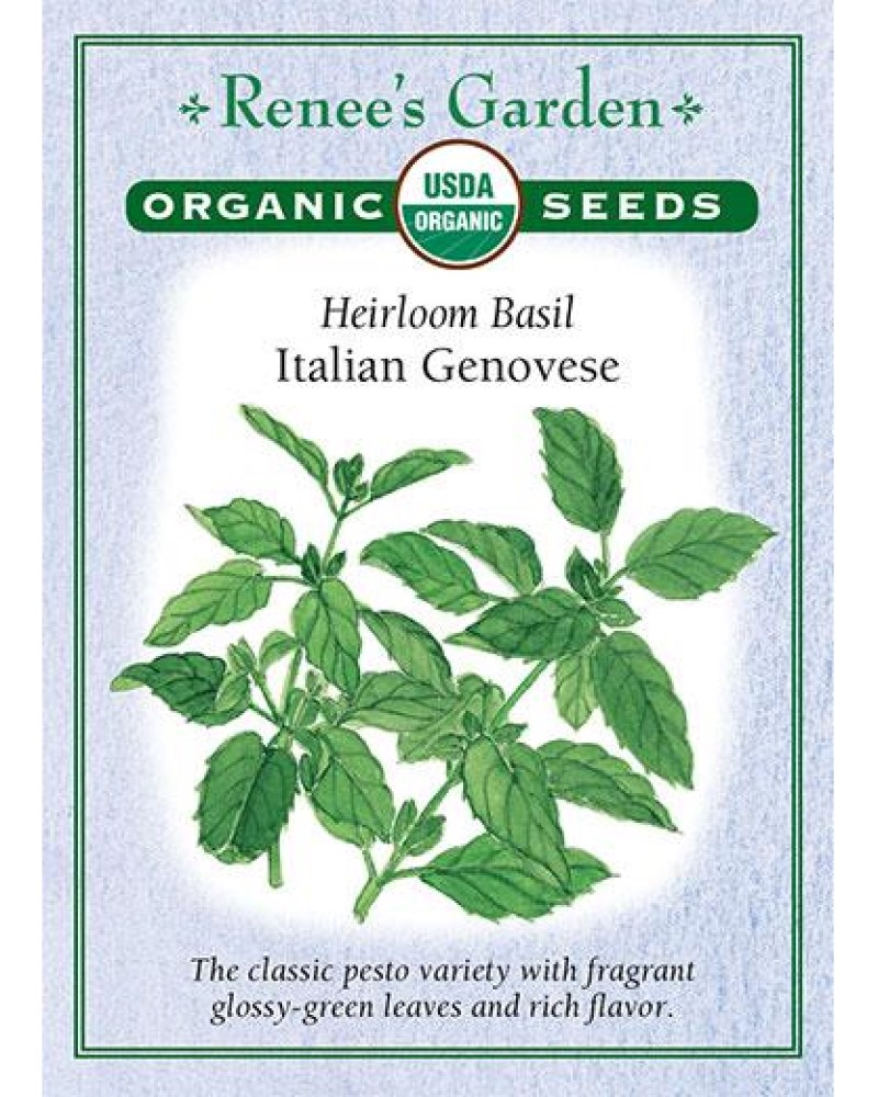 Basil Italian Genovese Organic Seeds