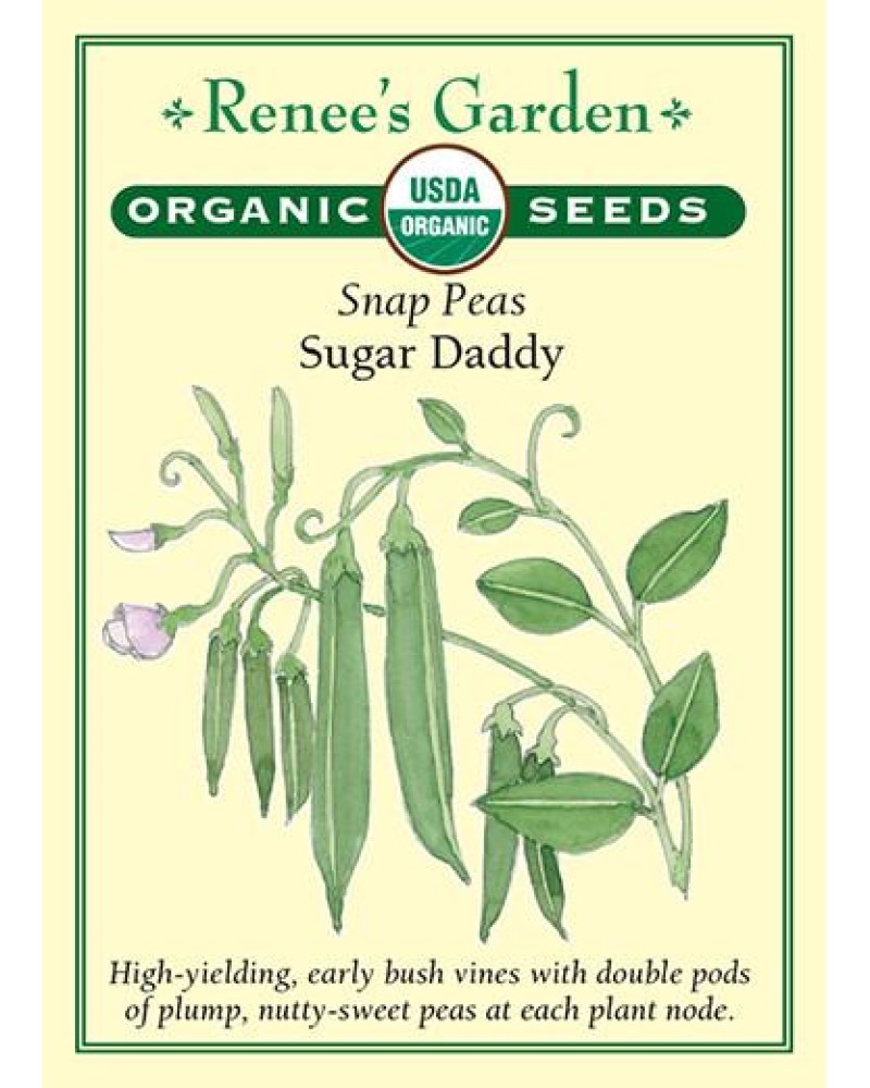Pea Sugar Daddy Organic Seeds