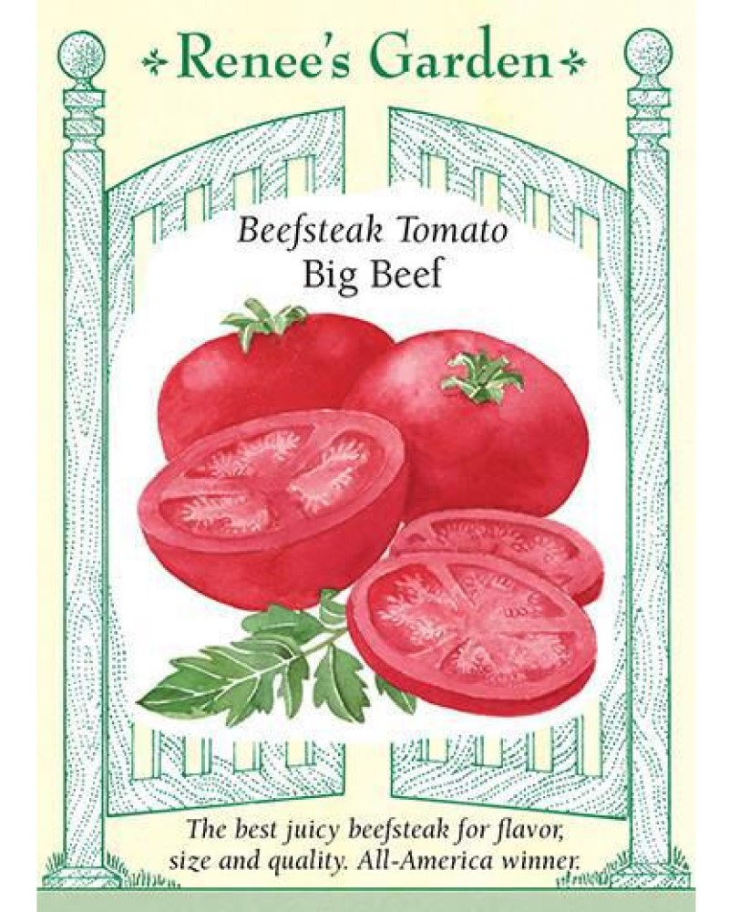 Tomato Big Beef Seeds