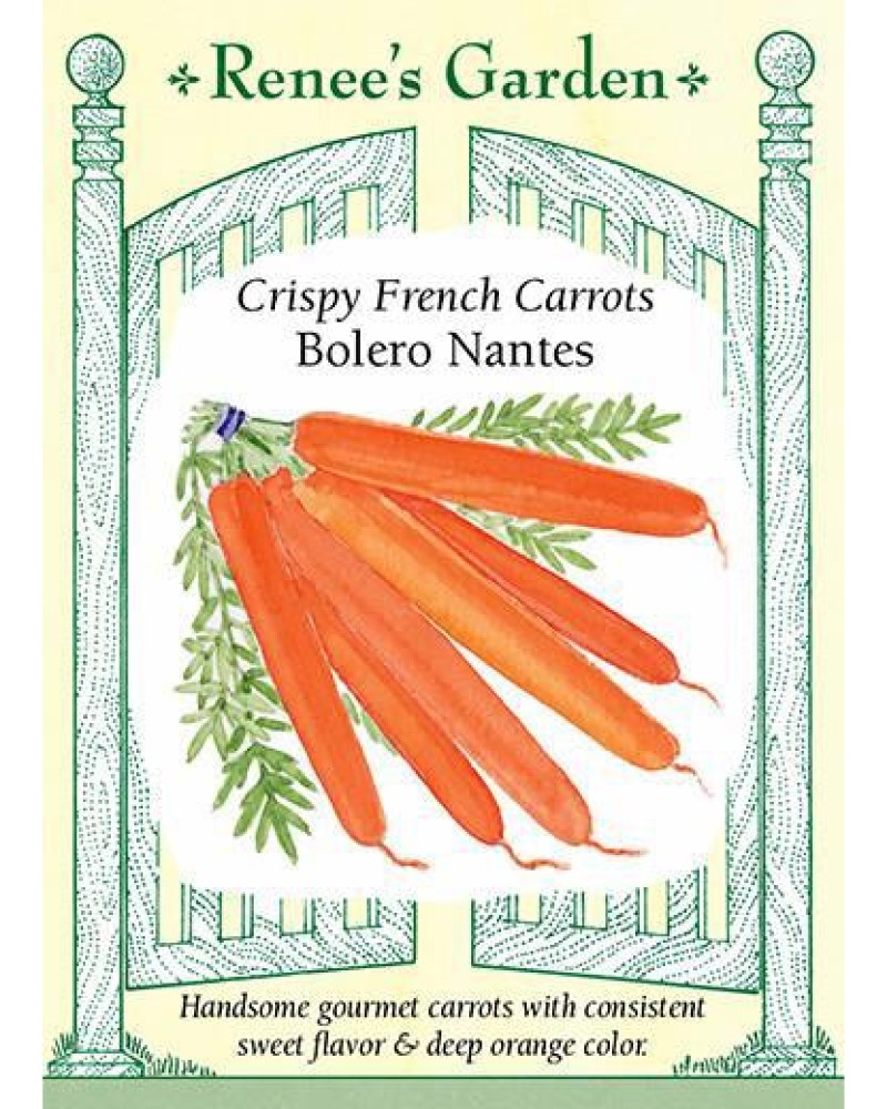 Carrot Bolero Seeds