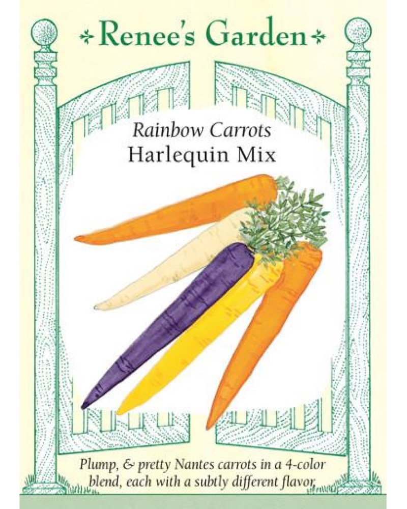 Carrot Rainbow Harlequin Seeds