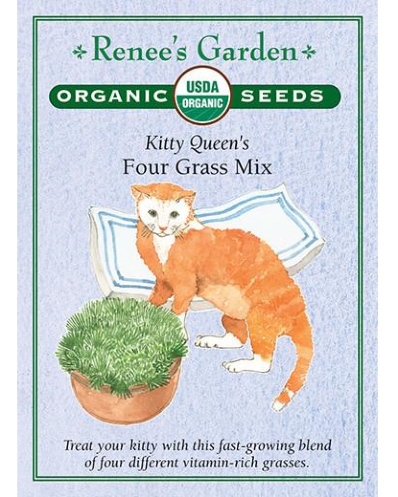 Cat Grass Mix Organic Seeds
