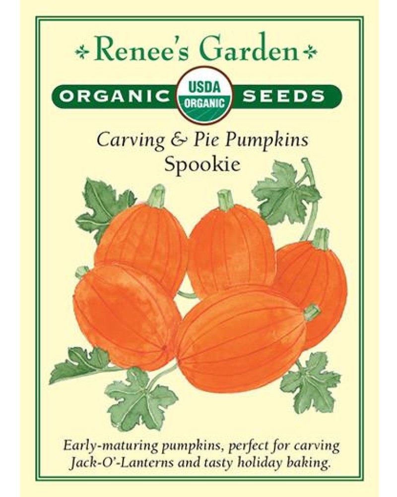 Pumpkin Spookie Organic Seeds
