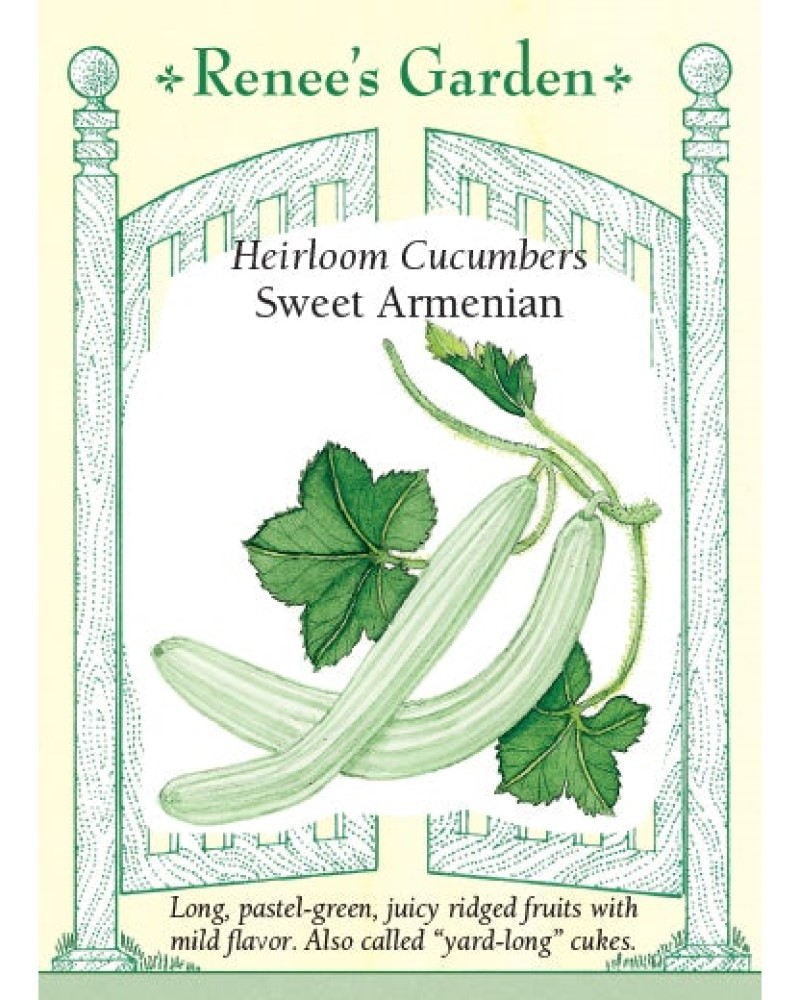 Cucumber Armenian Seeds