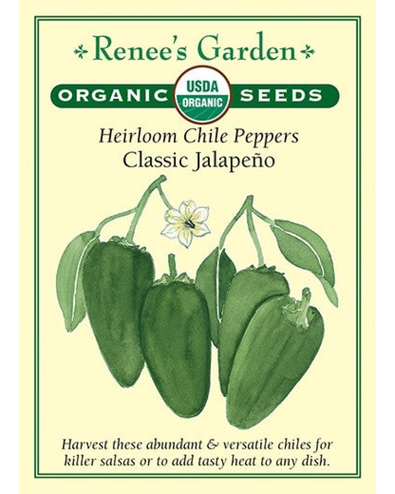 Pepper Chile Jalapeno Organic Seeds