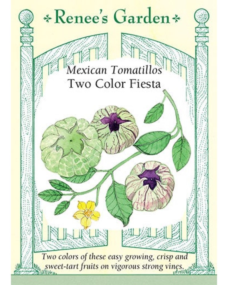 Tomatillo Fiesta Duo Seeds