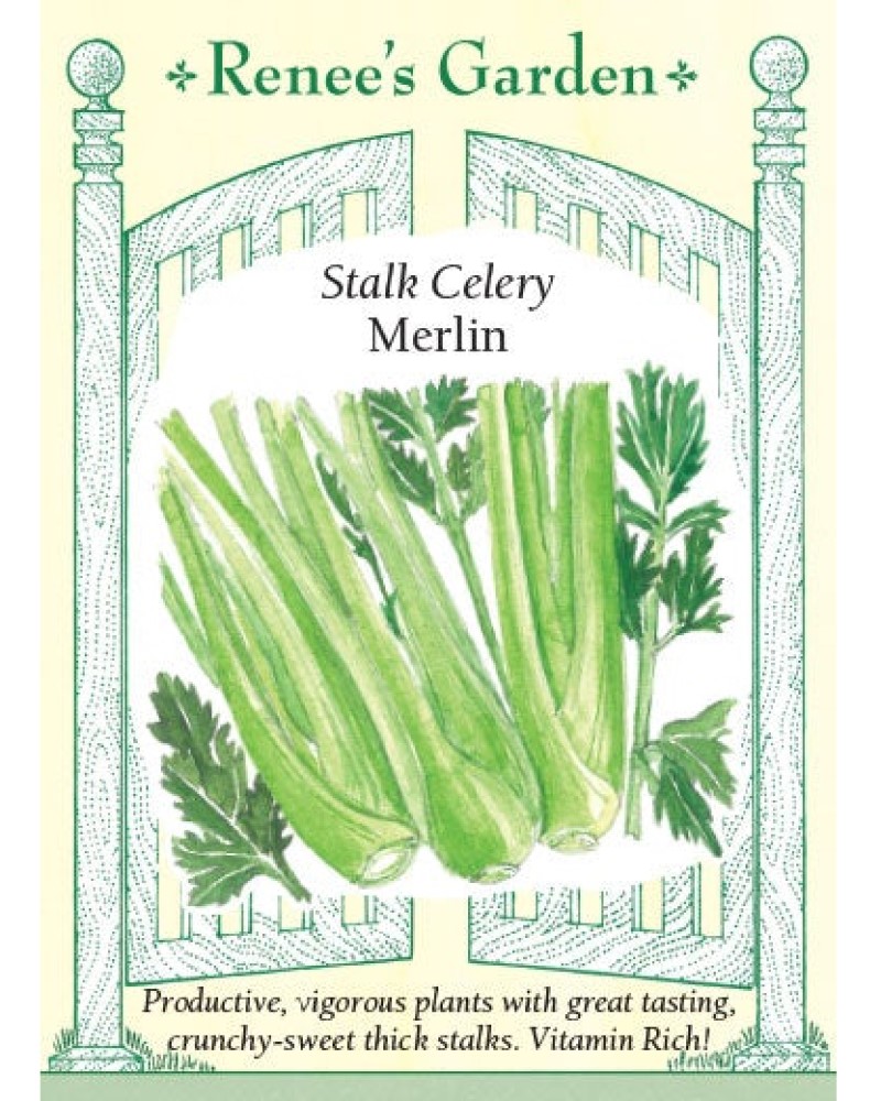 Celery Merlin Seeds