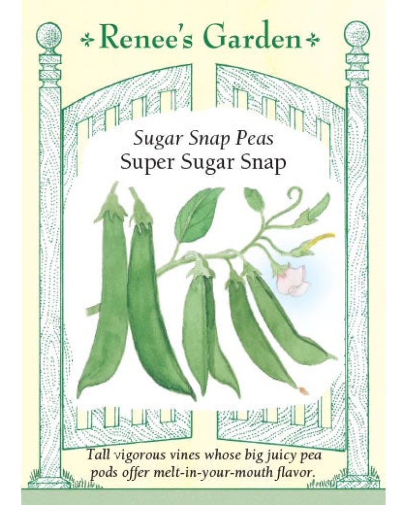 Pea Snap Super Sugar Seeds