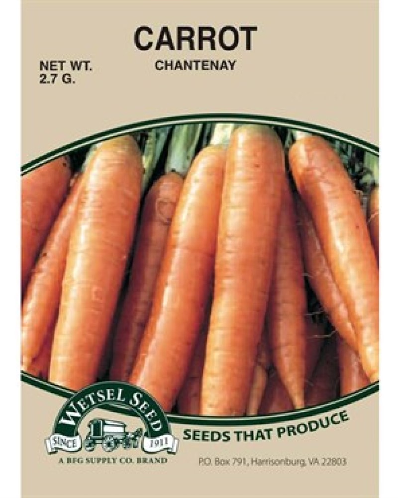 Carrot Chantenay Seeds
